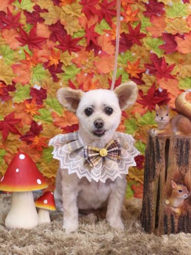 20241123ポンタくん